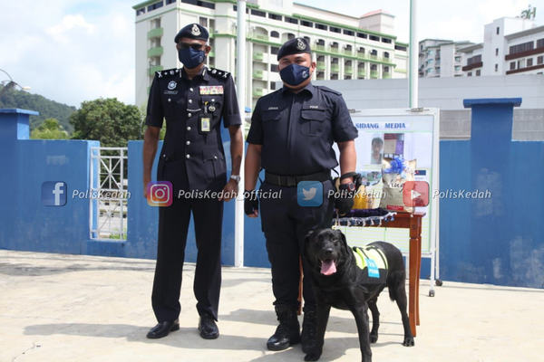 Black and his trainer, L/Cpl Johan Anak Jame (centre).