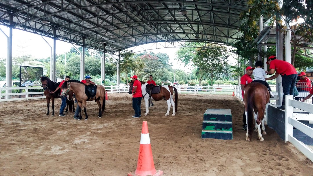 Tempat Naik Tunggang Kuda Di Kl Selangor Dan Putrajaya