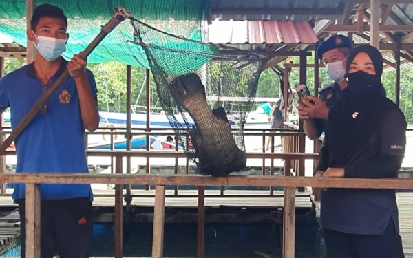 Norasyikin (right) and her staff showing a large 'ikan siakap' that the restaurant raises.