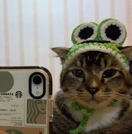 Crochet Cat Hats Go Viral