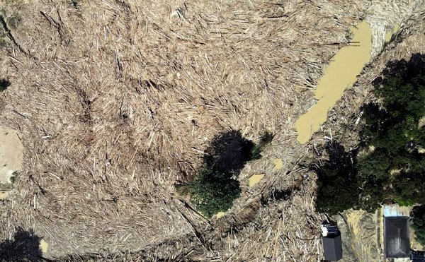 An aerial view of the wooden debris found along Jalan Bentong-Karak and at Sri Telemong bridge.