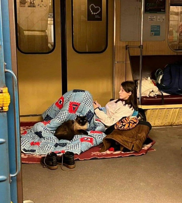 A woman seeking shelter in an underground metro station in Ukraine with her feline companion.