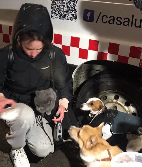 A woman feeding a cat and dogs of owners who fled Ukraine at an animal shelter in Suceava, Romania.