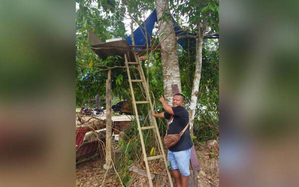 Faridah's husband showing Hafdan's treehouse near her residence, which was built a few days before returning to the welfare home.