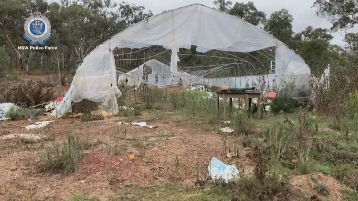 The property was allegedly a cannabis cultivation farm.